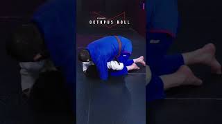 Octopus Roll 🐙 from the Turtle Escape 🐢