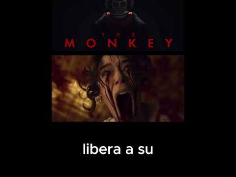 SIMIO TAMBORERO