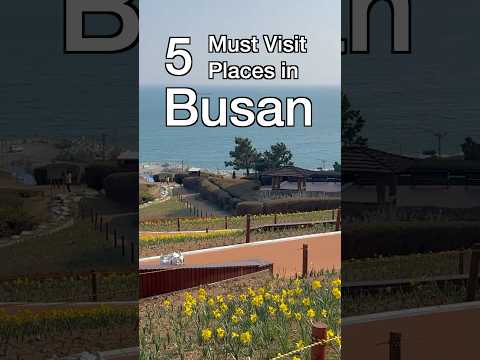 Top 5 Places you Must Visit in BUSAN 🇰🇷✨