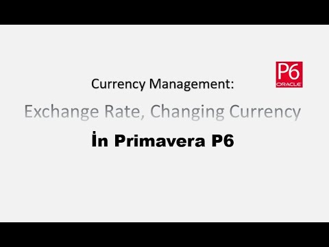 Currency Management in Primavera