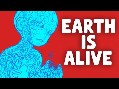 EcoPsychology - Animistic Take On Web Of Life
