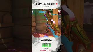 손에 자석이 달린 사람 🧲 I FLC Stalk3r #shorts