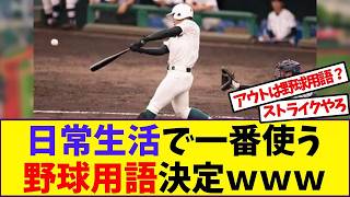 Baseball terms that have bled into everyday life LOL [Reaction Collection]