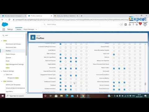 Salesforce Admin Intermediate | Permission Set | Expert Works