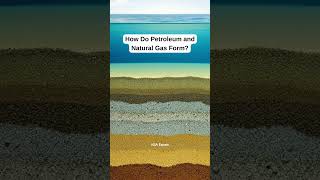 How Do Petroleum and Natural Gas Form?