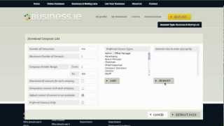 Business.ie - Online Database Access