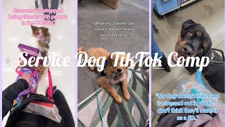 Service Dog TikTok Comp | none are mine | credits to the original owners