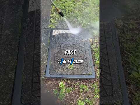 Random Facts You Didn’t Know 7