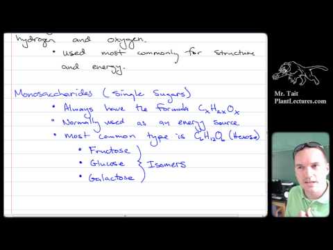 AP Biology - Biochemistry - Lesson 3: Organic Compounds + Carbohydrates