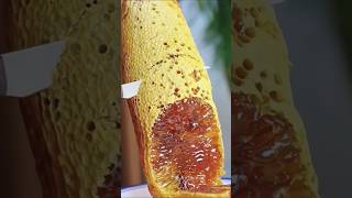 Facts about honey that will shock you 🤯 | #amazingfacts #honey