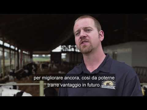CLARIFIDE Plus Homestead Dairy Testimonial Video