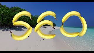 What is SEO?