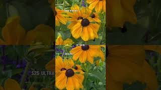 Telephoto Lens Camera Quality Test #shortsfeed #shorts #viralvideo #viralshorts