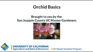 Orchid Basics - Learn how to grow great orchids!