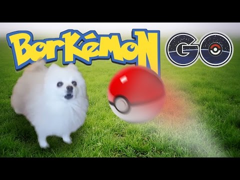 Borkemon Go