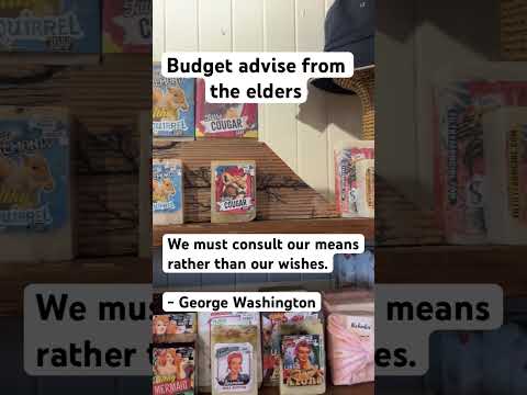 We must consult our means rather than our wishes. - George Washington
