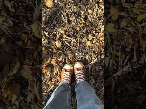 Campus in the fall #fallaesthetic