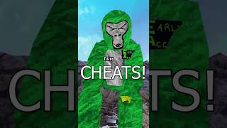 Crazy Cheats That Are Actually LEGAL!