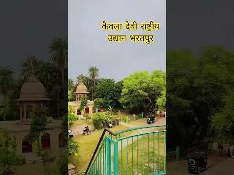 #कैवलादेवीराष्टीय उधान भरतपुर #प्रेमानंदजीमहाराज #song #वृंदावनधाम