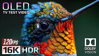 Experience 16K HDR Dolby Vision 120fps | Breathtaking Nature OLED Demo (For 8K/4K TV)