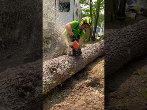 My favorite Chainsaw! 500i