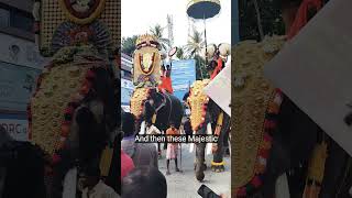 thrissur festival #javabyshyamsundar #lifeofdeveloper #shyamsundar624 #keralatourism