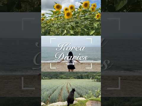 full vlog is up now ♡ ep.2 coming tomorrow!! #koreadiaries #vlog #koreavlog #travelvlog #korea