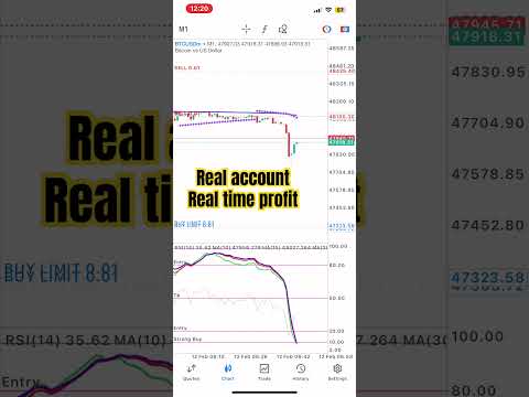 Real time profits forexx #forextrading #millionaire #dollar