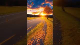 Relaxing Music Nature Sounds #shorts