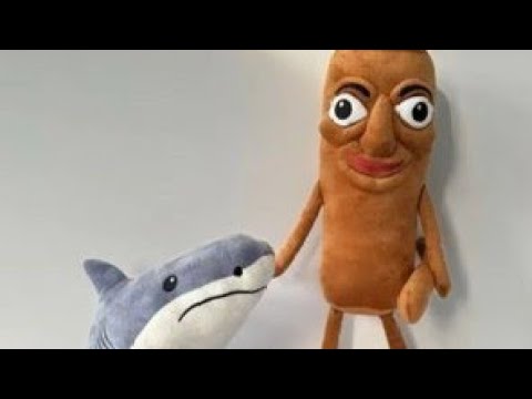 Top 5 Toys