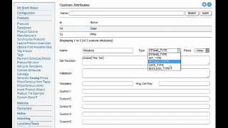 Product Custom Attributes