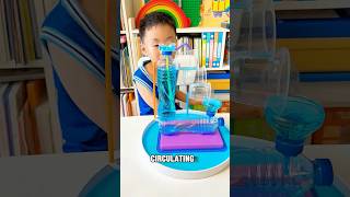 DIY Water Circulation Experiment - Physics Made Easy #science #experiment