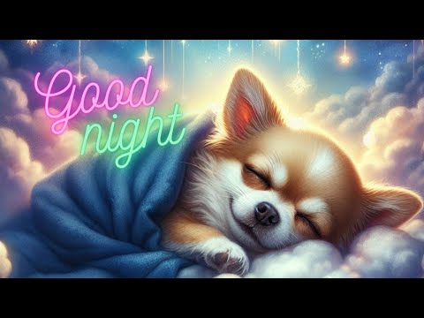チワワの穏やかな眠り：深い眠りのための癒しの音楽