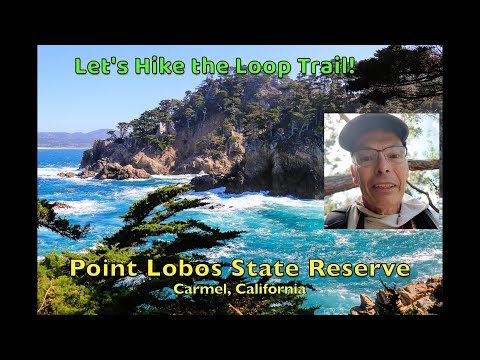 Uncover the Beauty of Carmel's Point Lobos