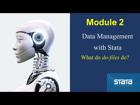 What do #Stata do-files do?