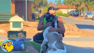 Huge Dogs Struggle to Find Friends. Then Everything Changes! | Cuddle Buddies Shorts