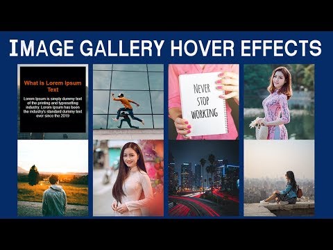 How To Make Image Gallery Hover Effects Using HTML & CSS | Image Hover Effects HTML & CSS Tutorial