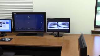 Automatic Eye Finder and Tracking System