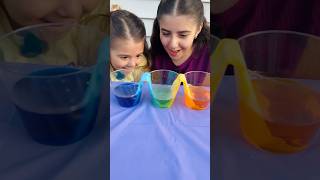 Mixing Colors Walking Water Science Experiment for Kids CAPILLARY ACTION