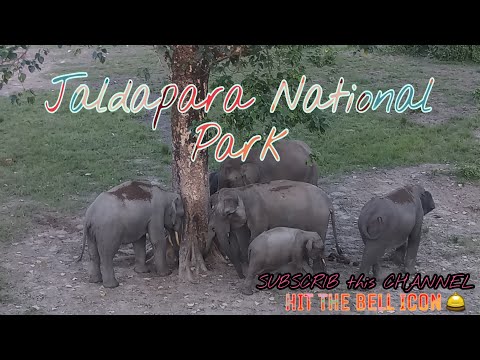 Vlog-2  Safary in  Jaldapara National Park.