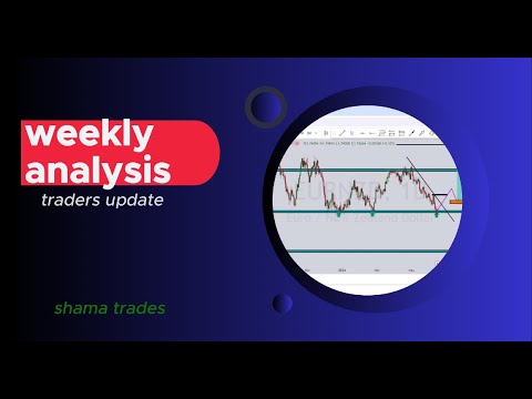 FOREX WEEKLY ANALYSIS. Traders update vol.9