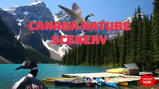 Canada Nature Scenery🍁Relaxing Piano Music | Beautiful Landscape, Calming Background Music 4k video