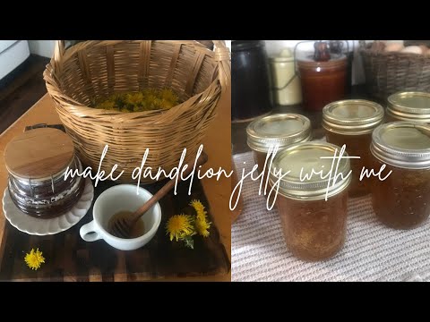 Dandelion Jelly