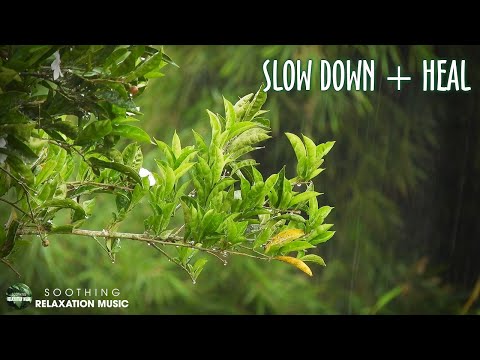 😴 SLEEPING MUSIC ULTRA RELAXING | You Don’t Have to Do Anything Now – Just Listen!!!