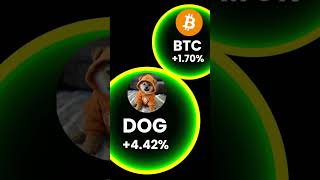Bitcoin ecosystem $BTC and $DOG are number 1 and 2 #crypto #bitcoin #cryptocurrency