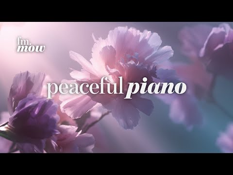Peaceful Piano | calm focus | soft piano for quiet work