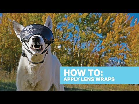 How To: Apply Rex Specs Dog Goggle Lens Wraps