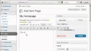 Make WordPress Static webpage as a homepage for your blog site