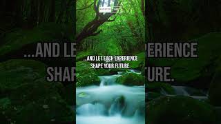 DISCOVER Your Potential: Learn, Experience, Grow! #motivation