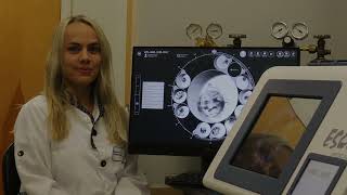 Visualizing Development of the Bovine Embryo